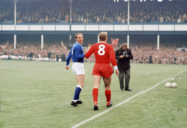 近年来类似 近年来类似