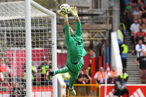 为他赢得了 为他赢得了